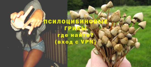 гидра Армянск