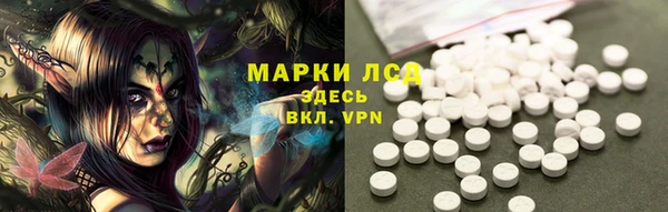 гашик Арсеньев