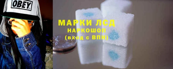 гашик Арсеньев