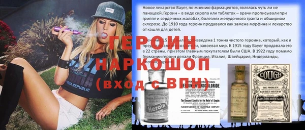 гашик Арсеньев