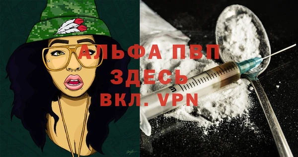 гашик Арсеньев