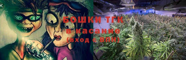 гашик Арсеньев